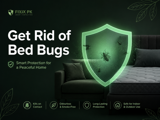 How to Get Rid of Bed Bugs from Mattress and Sofa