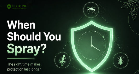 When Should You Spray? Best Time for Pest Control at Home
