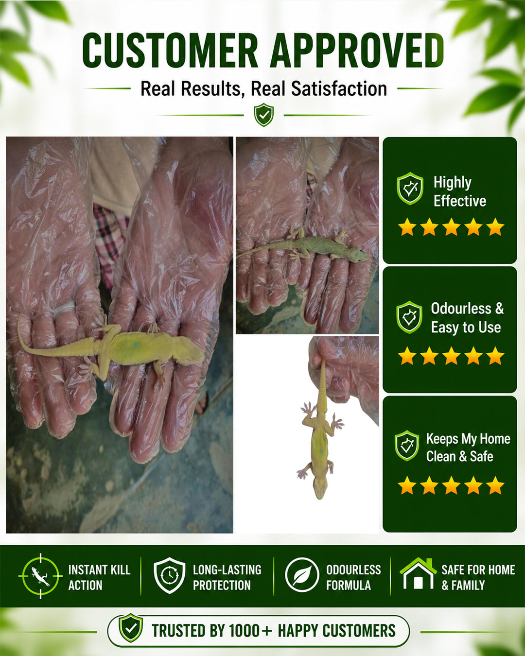 Lizard Killer – Odourless Instant Kill & Long-Lasting Repellent Spray For Indoors & Outdoors | FIXIX PK