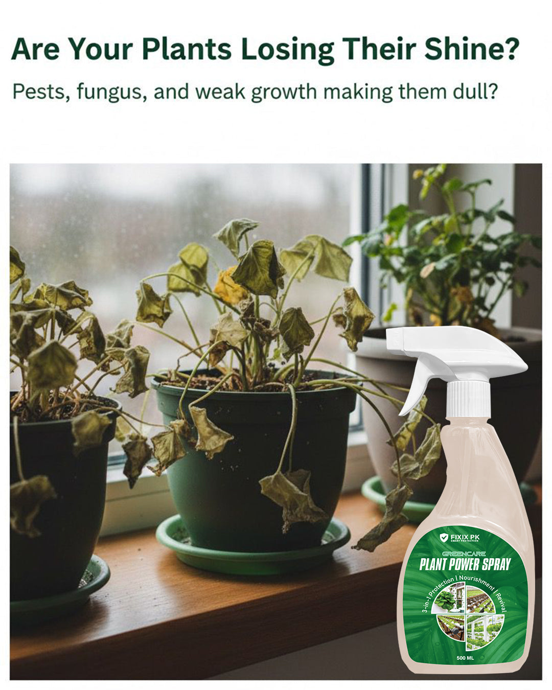Greencare Plant Power Spray – 3-in-1 Protection, Nourishment & Revival | FIXIX PK