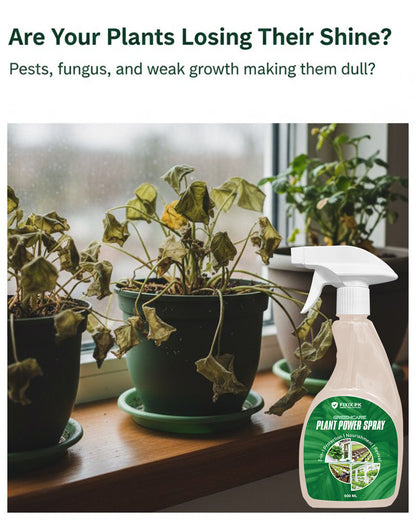 Greencare Plant Power Spray – 3-in-1 Protection, Nourishment & Revival | FIXIX PK