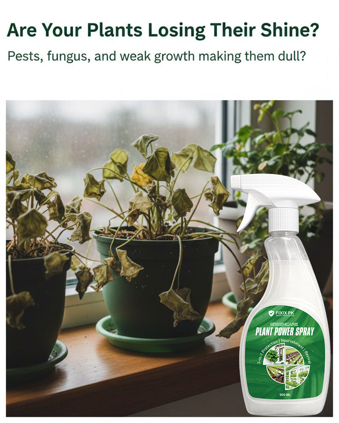 Greencare Plant Power Spray – 3-in-1 Protection, Nourishment & Revival | FIXIX PK
