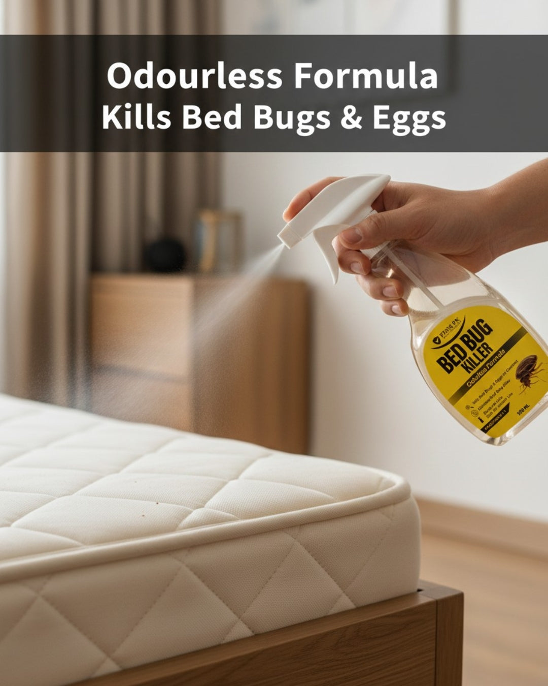 Bed Bug Killer Spray 500ml – Odorless, Kills Bed Bugs & Eggs (Indoor Safe) | FIXIX PK